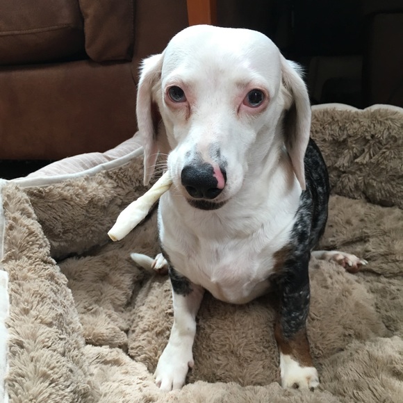 ⚠️ CAUTION! ⚠️ - Picture 5 of 7